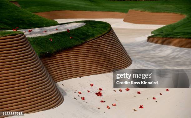 Detailed shot of the distinctive bunkering at the DLF Golf Club during the pro-am event prior to the Hero Indian Open at the DLF Golf & Country Club...