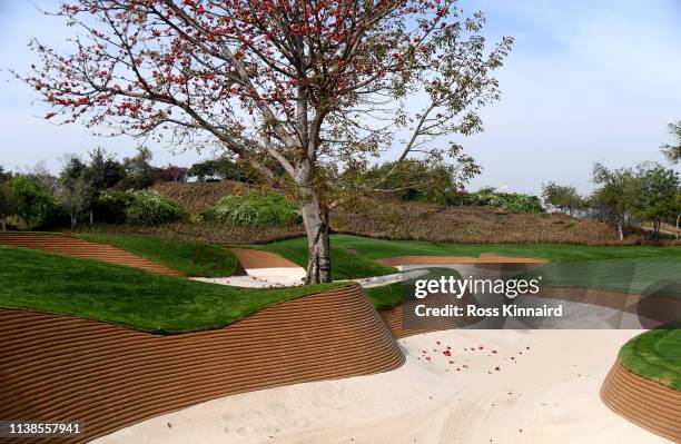Detailed shot of the distinctive bunkering at the DLF Golf Club during the pro-am event prior to the Hero Indian Open at the DLF Golf & Country Club...