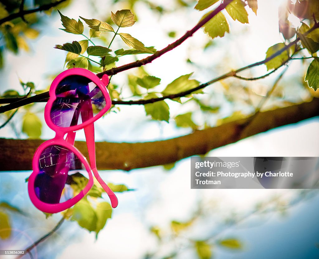 Heart shaped sunglasses in a tree