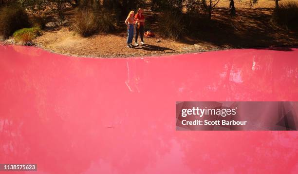 People take photographs of the pink lake at Westgate Park on March 27, 2019 in Melbourne, Australia. The inland lake turns pink in warmer months...