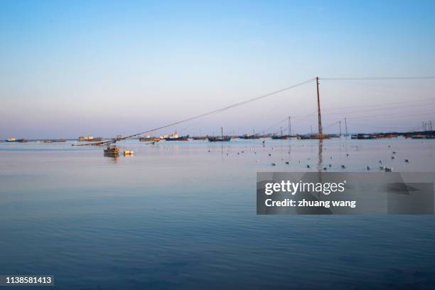 a tranquil fishing port - 漁業 ストックフォトと画像