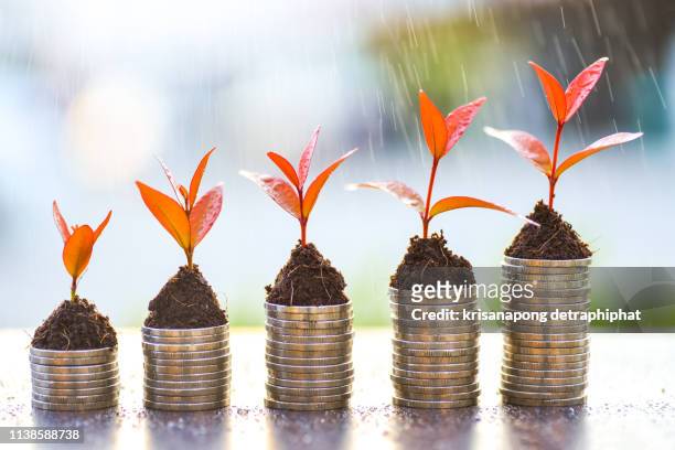 money growth,saving money,money grow - crowdfunding stock pictures, royalty-free photos & images