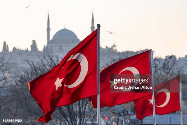 turkish flags (flag of the republic of turkey) with the view of mosque - bandera turca fotografías e imágenes de stock