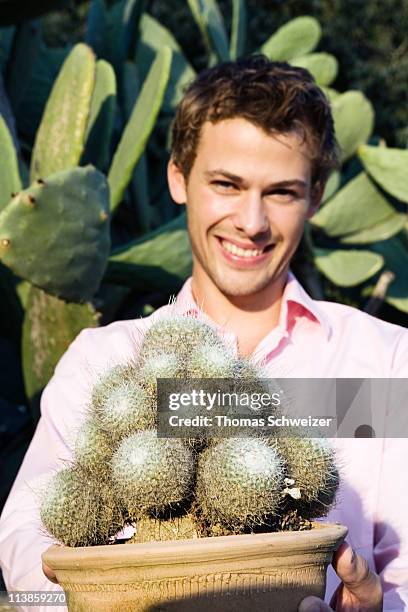 Cactus High-Res Stock Photo
