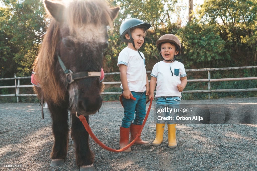 Kinderen met pony