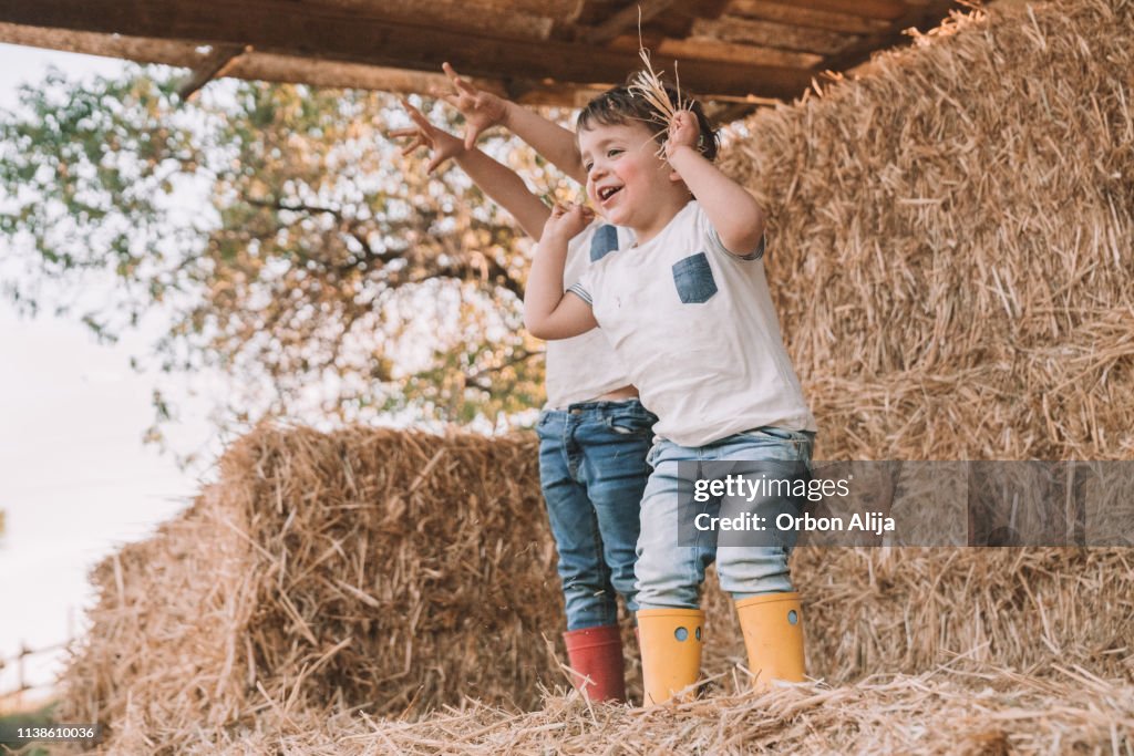 Kinder in Strohstall
