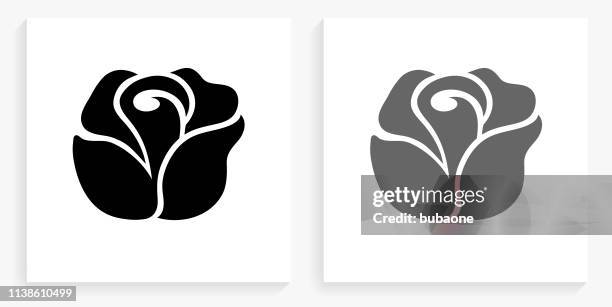 rose black and white square icon - rose vector stock illustrations