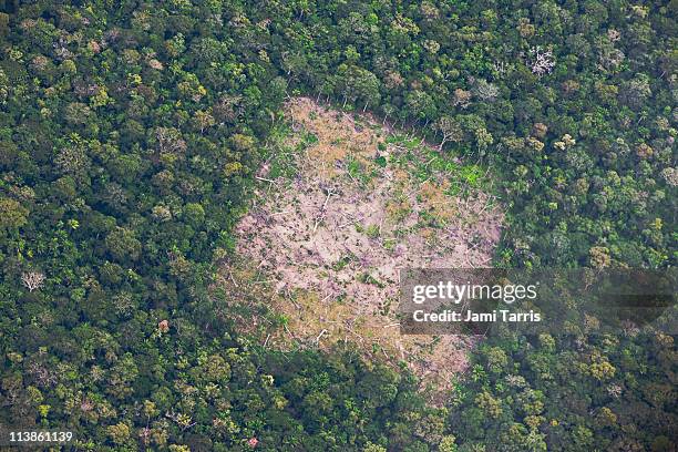 aerial of amazon rainforest destruction - deforestation fotografías e imágenes de stock