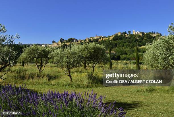 View of Menerbes, Provence-Alpes-Cote d'Azur, France.