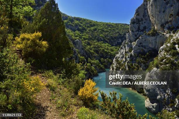 View of the Verdon Gorges, Provence-Alpes-Cote d'Azur, France.