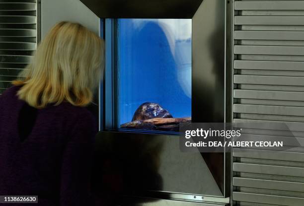 Otzi's refrigeration chamber, the Similaun mummy, South Tyrol Museum of Archaeology, Bolzano, Trentino-Alto Adige, Italy.