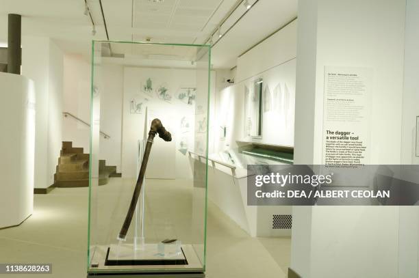 Otzi's axe, Copper Age, South Tyrol Museum of Archaeology, Bolzano, Trentino-Alto Adige, Italy.
