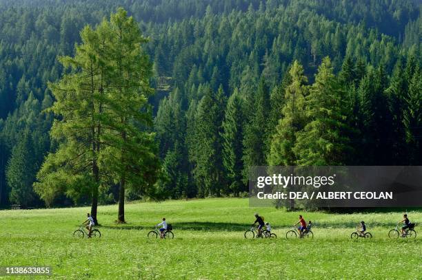 Puster 1,534 Puster Valley Stock Photos, High-Res Pictures, and Images - Getty ...
