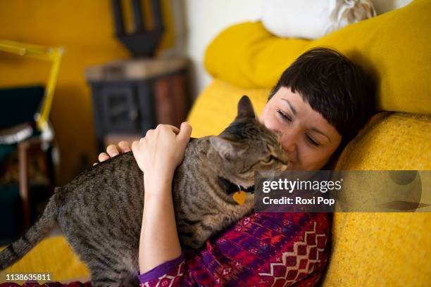 woman plays with the cat in her home - cat lady stock pictures, royalty-free photos & images