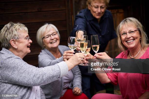 senior women clinking glasses on a garden party - senior women wine stock pictures, royalty-free photos & images