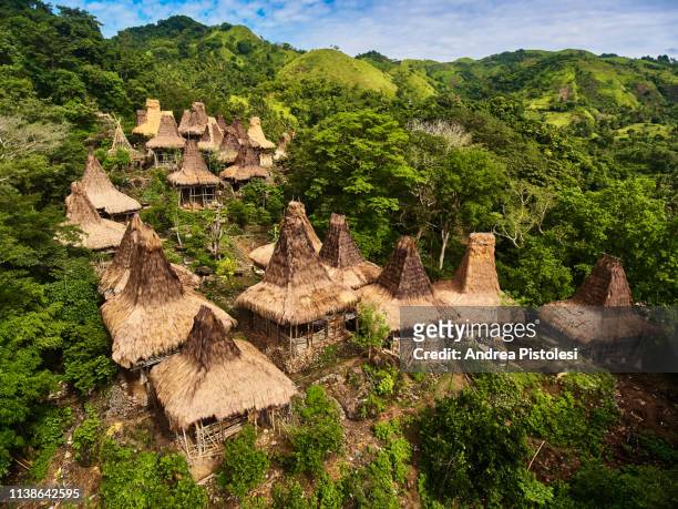 traditional village on sumba island, indonesia - sumba stock pictures, royalty-free photos & images
