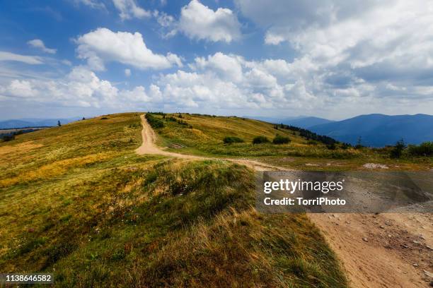 footpath on mountain range in ukrainian carpathians - chemin de terre photos et images de collection