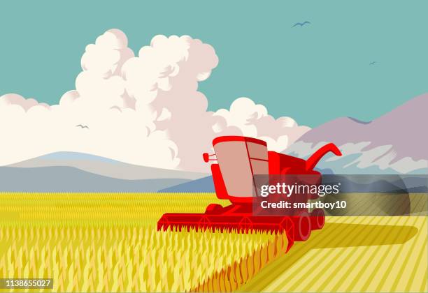 ilustraciones, imágenes clip art, dibujos animados e iconos de stock de cosechadora - farm field combine