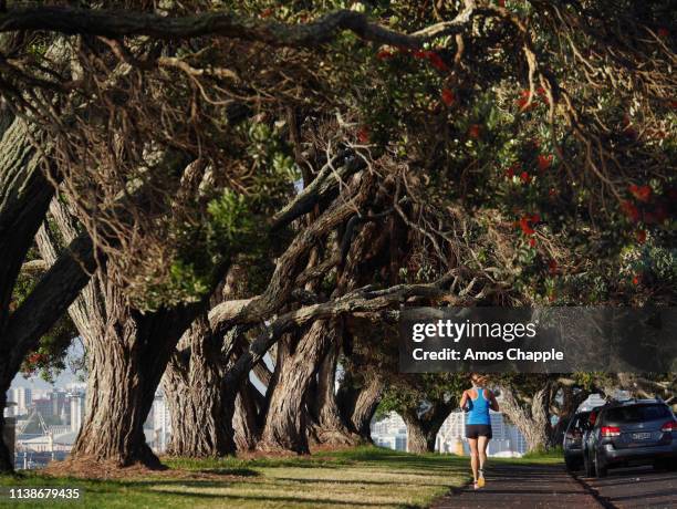 a female jogger runs alongside trees. - amos chapple stock pictures, royalty-free photos & images