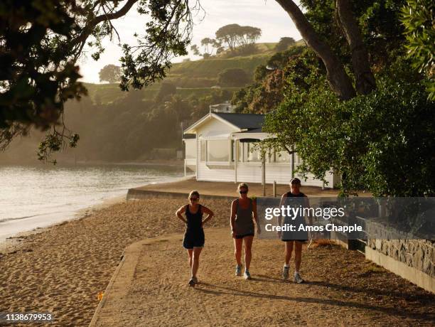 three women walking together. - amos chapple stock pictures, royalty-free photos & images