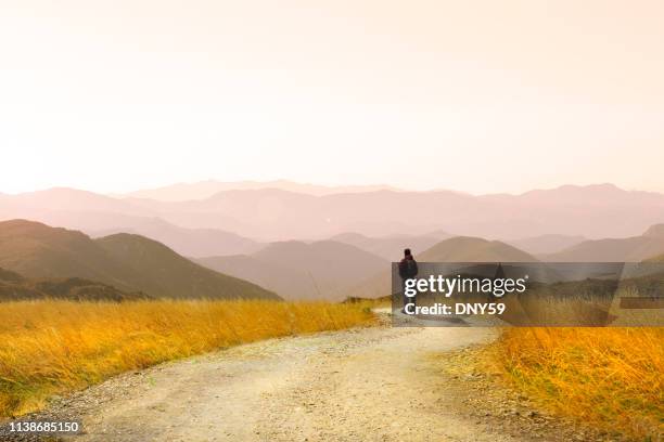 hiker masculino en el sendero - camino fotografías e imágenes de stock