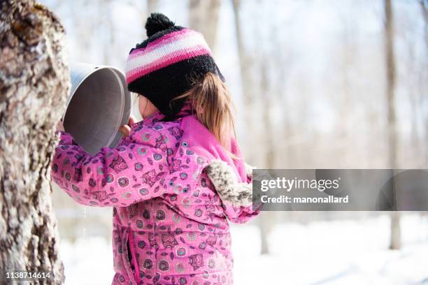 little girl during time of maple syrup family industry - sap stock pictures, royalty-free photos & images