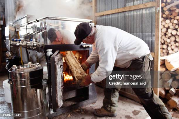men stoking the fire at sugar shack for maple syrup family industry - boiling maple sap stock pictures, royalty-free photos & images