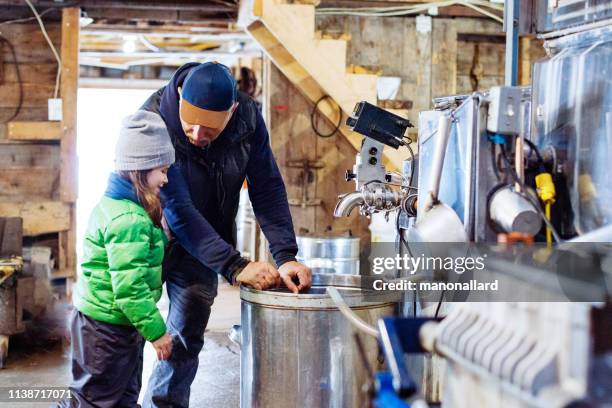 uomini anziani che lavorano presso la baracca di zucchero per l'industria familiare dello sciroppo d'acero - homegrown produce foto e immagini stock