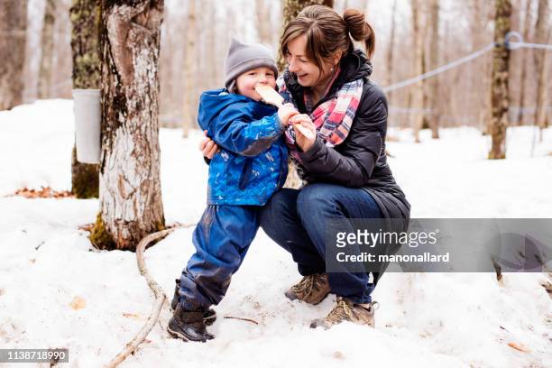maple syrup family industry time with multi-generational family - sugar shack stock pictures, royalty-free photos & images