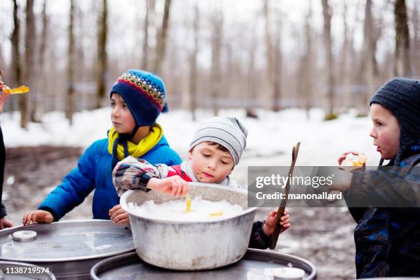 ahorn-sirpen-industriezeit mit zwei kindern, die ahornsirup verkosten - bonbon stock-fotos und bilder