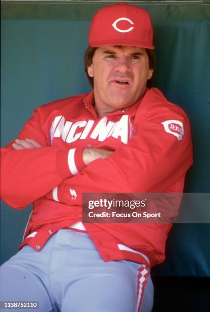 Red Roses Manager Pete Rose Baseball Photos and Premium High Res Pictures - Getty Images