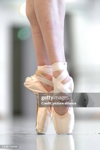 March 2019, Bavaria, München: A dancer of the Bavarian State Ballet is standing on her toe shoes. For professional dancers, individually adapted lace...