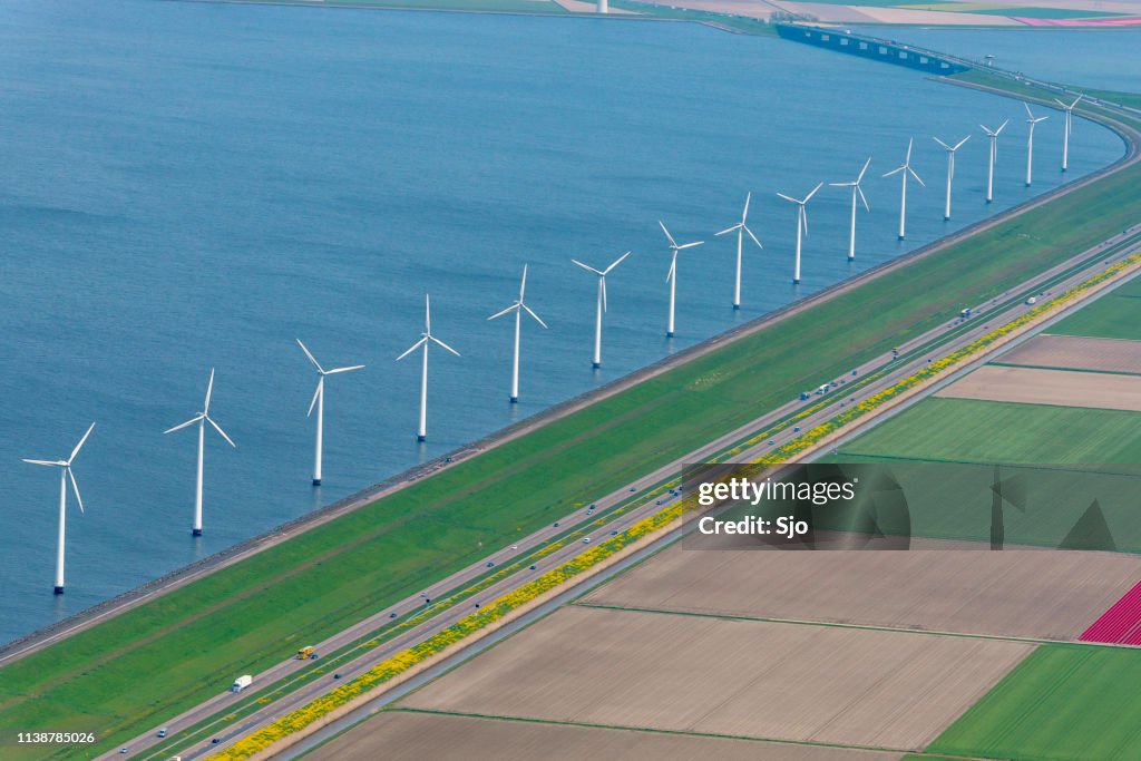 Aerial view on wind turbines in front of fields of tulip flowers growing in spring in Holland