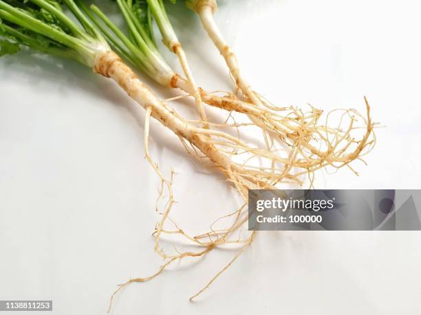 Cilantro Roots Process Cilantro Root Photos and Premium High Res Pictures - Getty Images