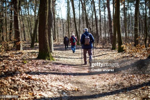senior people nordic walking - nordic walking stock pictures, royalty-free photos & images