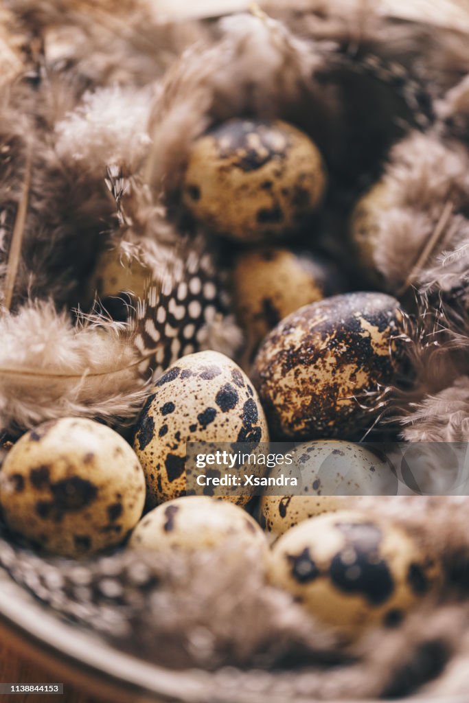 Quail eggs with feathers - Easter holiday decorations