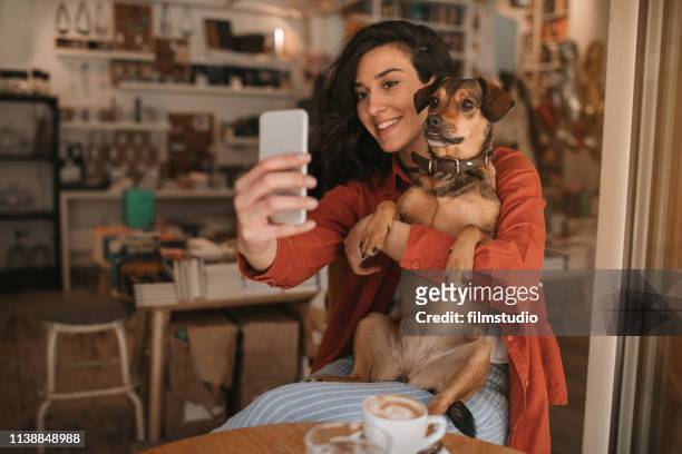 ung kvinna sitter i cafe med sin hund - pet shop bildbanksfoton och bilder