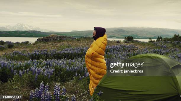 icelandic summer. relaxing on a meadow with blooming lupine - sleeping bag stock pictures, royalty-free photos & images