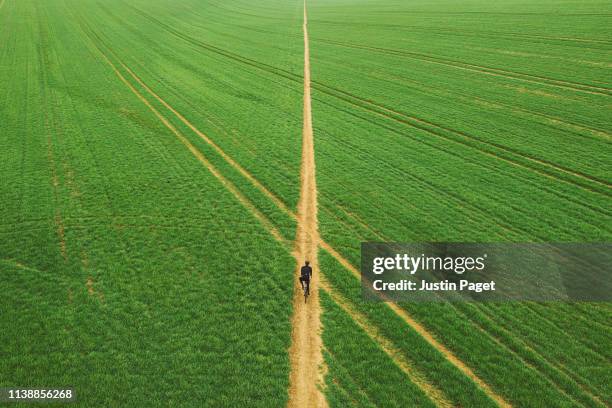 drone view of cyclist on path through field - route perspective stockfoto's en -beelden