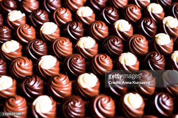 premium collection of dark, milk and white chocolate sweets, selective focus. chocolate background. macro food photography. collection of candies. - chocolate pieces stock-fotos und bilder