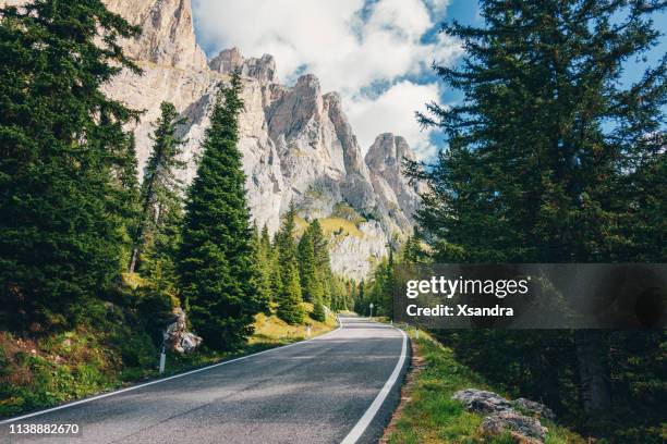 scenic road through the forest in the dolomites alps, italy - dolomites italy stock pictures, royalty-free photos & images