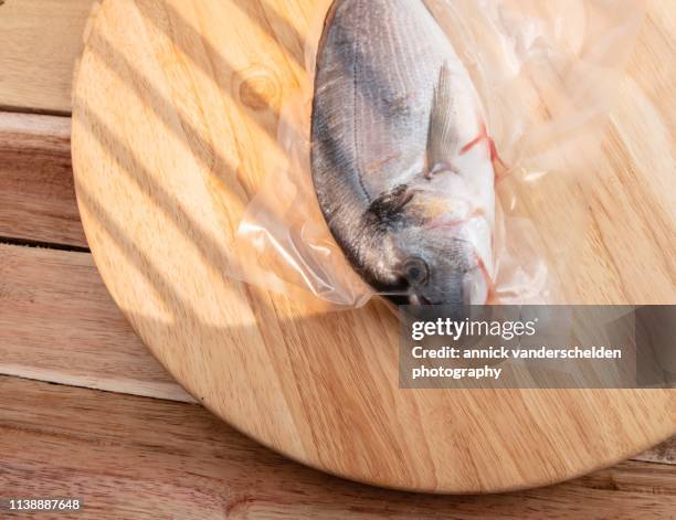 gilt-head bream - sparus aurata stock pictures, royalty-free photos & images