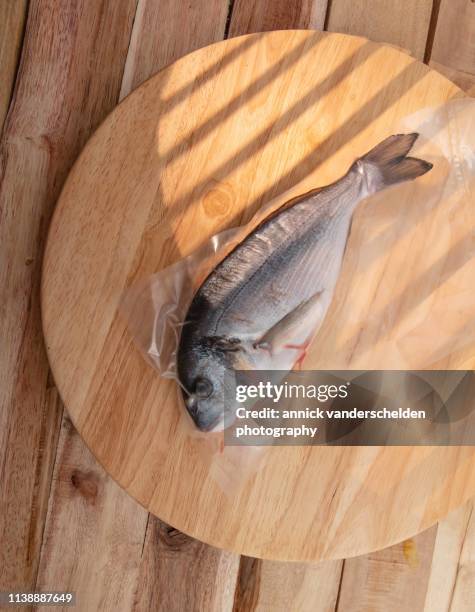 gilt-head bream - sparus aurata stock pictures, royalty-free photos & images