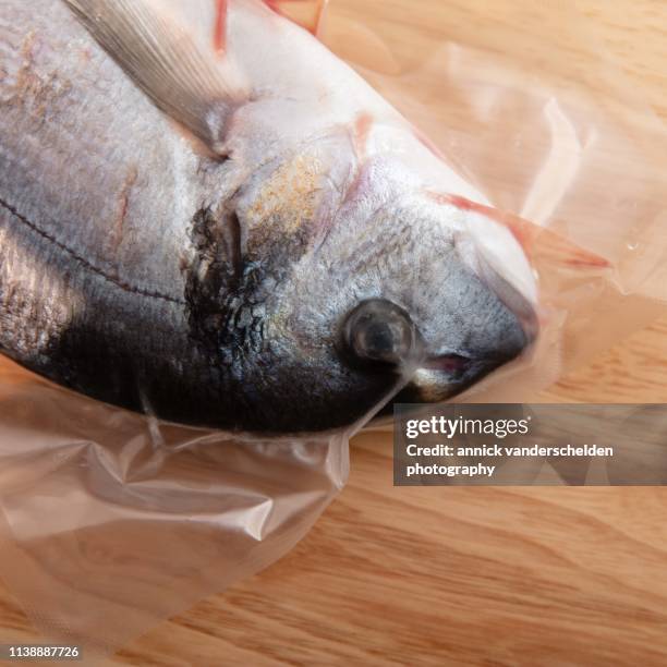 gilt-head bream - sparus aurata stock pictures, royalty-free photos & images