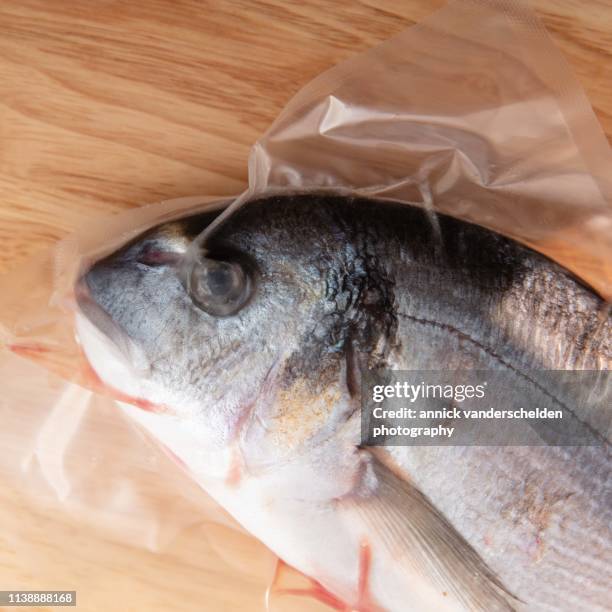 gilt-head bream - sparus aurata stock pictures, royalty-free photos & images