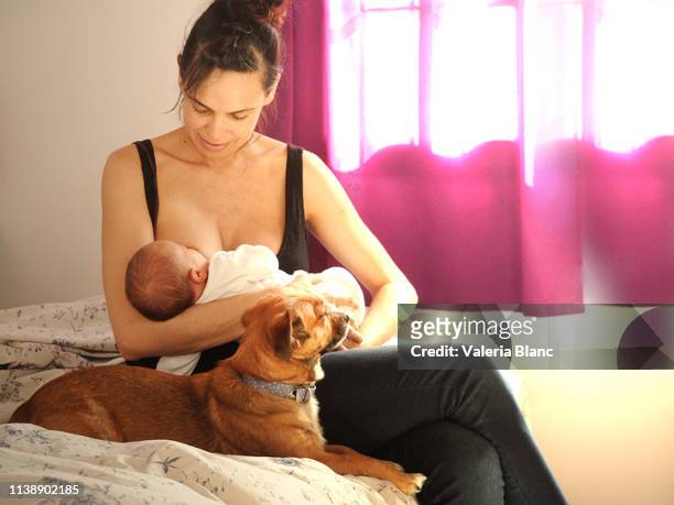 174 Woman Breastfeeding Animals Photos and Premium High Res Pictures -  Getty Images