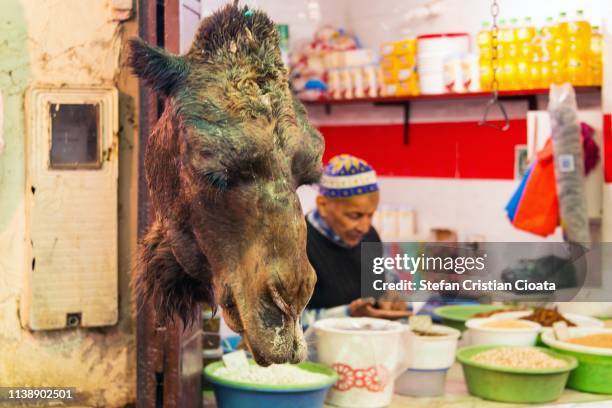 camel head at fez souk morocco - camel meat stock pictures, royalty-free photos & images