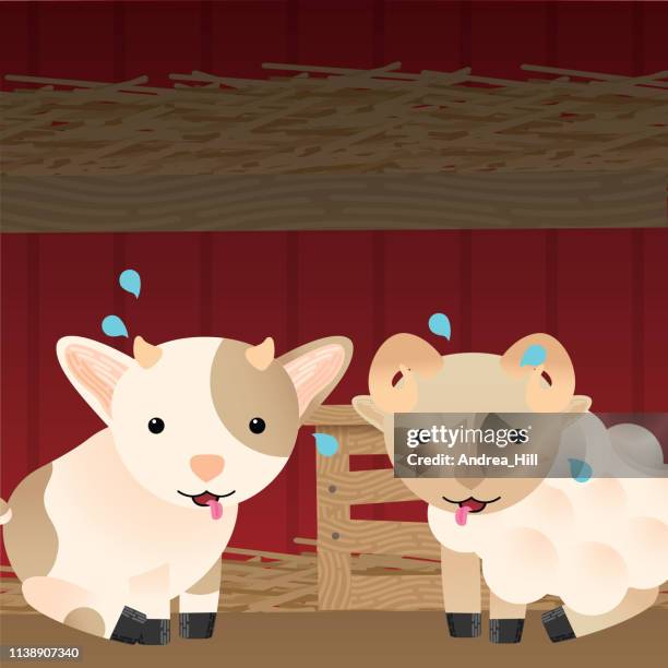 cute goat and ram on a hot day at the farm - kid goat stock illustrations