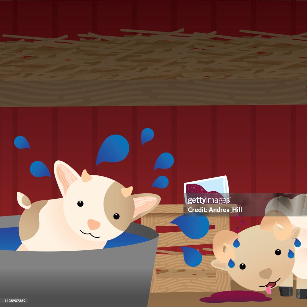 Cute Goat and Ram Get into Mischief