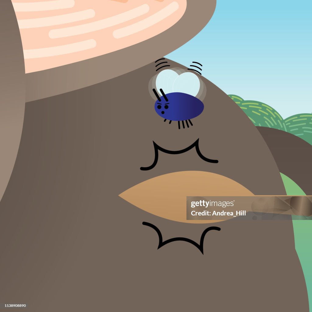 Fly Bites Cow